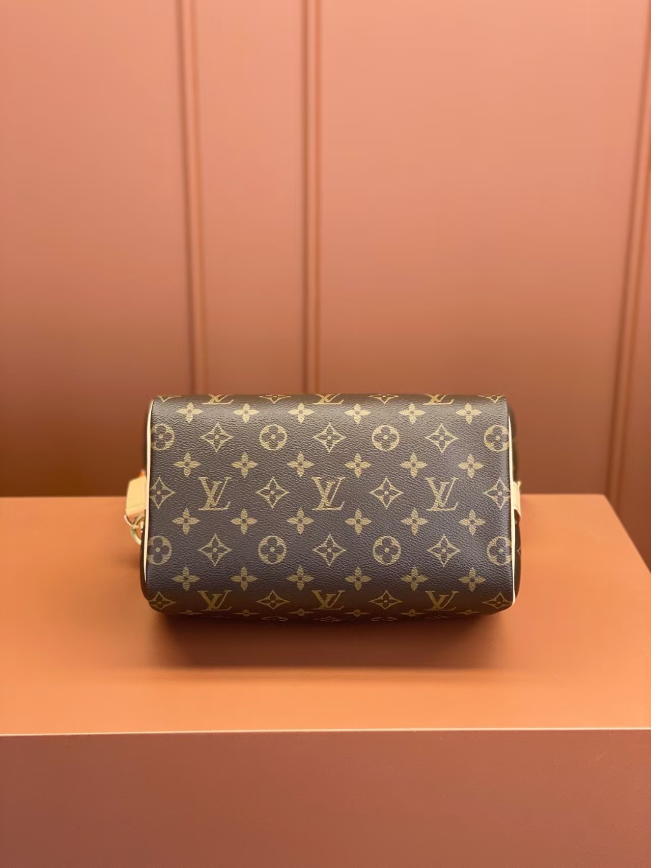Louis Vuitton Nano Speedy 25