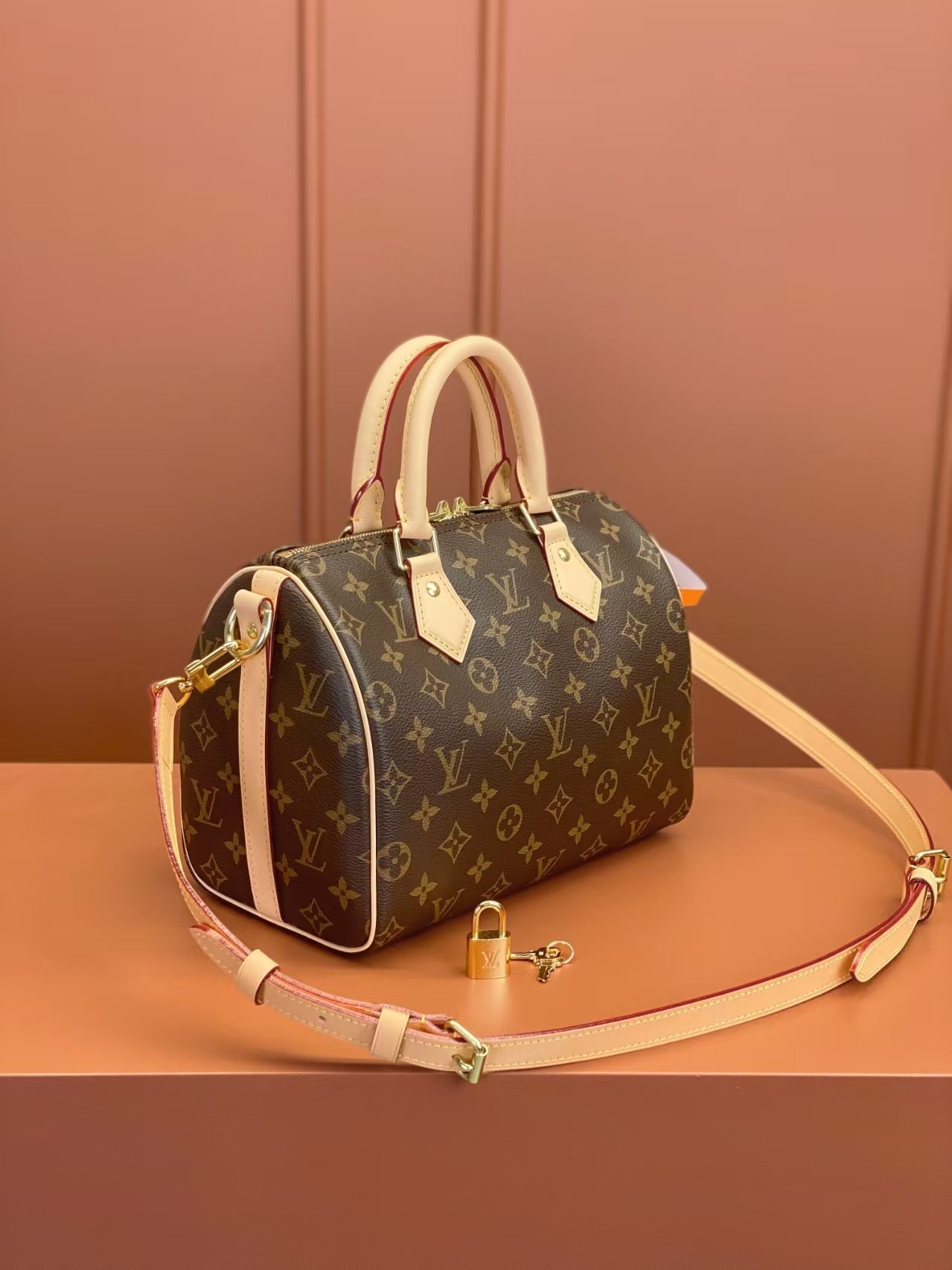 Louis Vuitton Nano Speedy 25