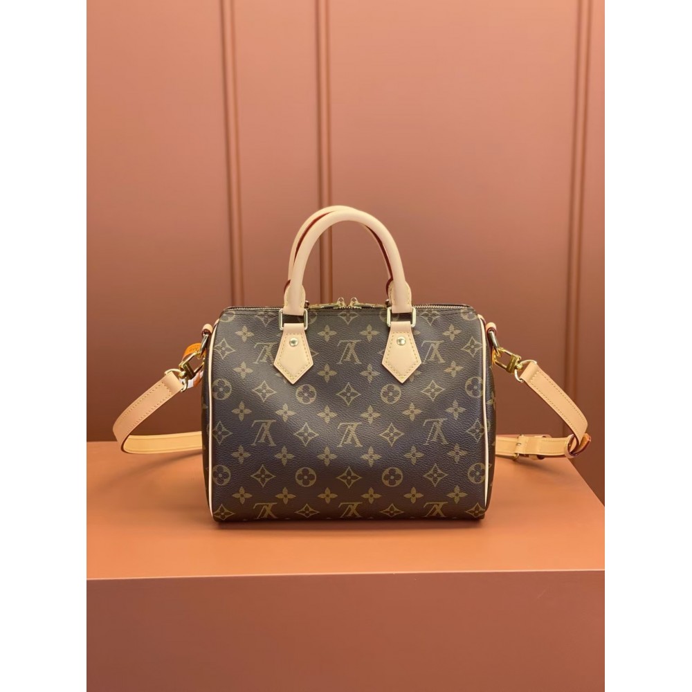 Louis Vuitton Nano Speedy 25