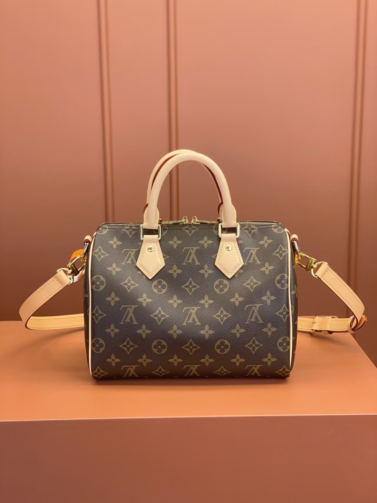 Louis Vuitton Nano Speedy 25