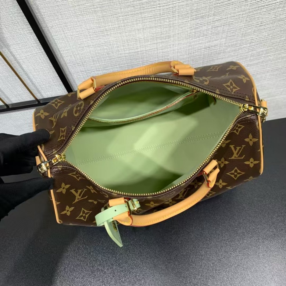 Louis Vuitton Speedy 30 Green Lining