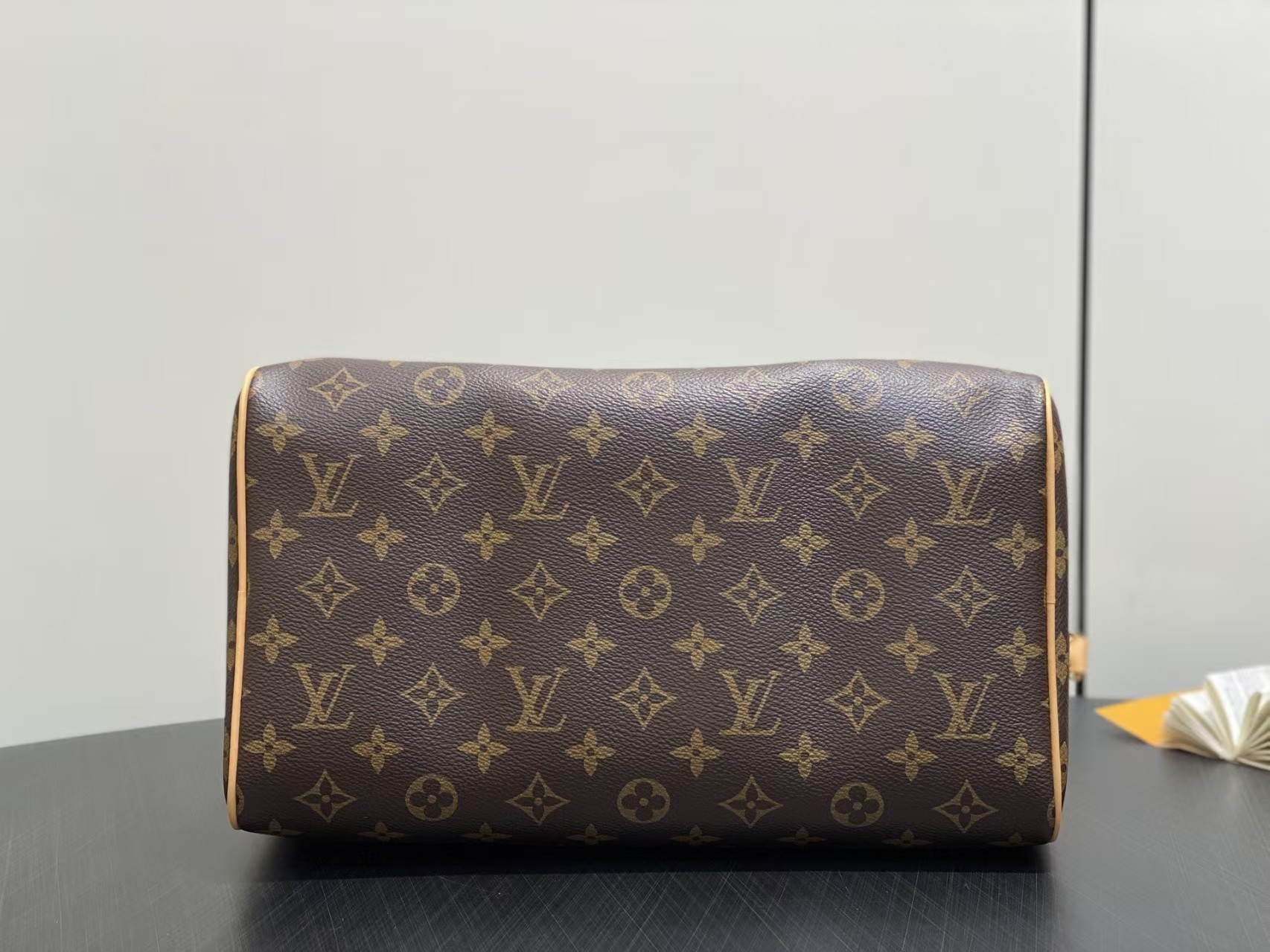 Louis Vuitton Speedy 30 Green Lining