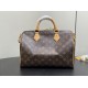 Louis Vuitton Speedy 30 Green Lining