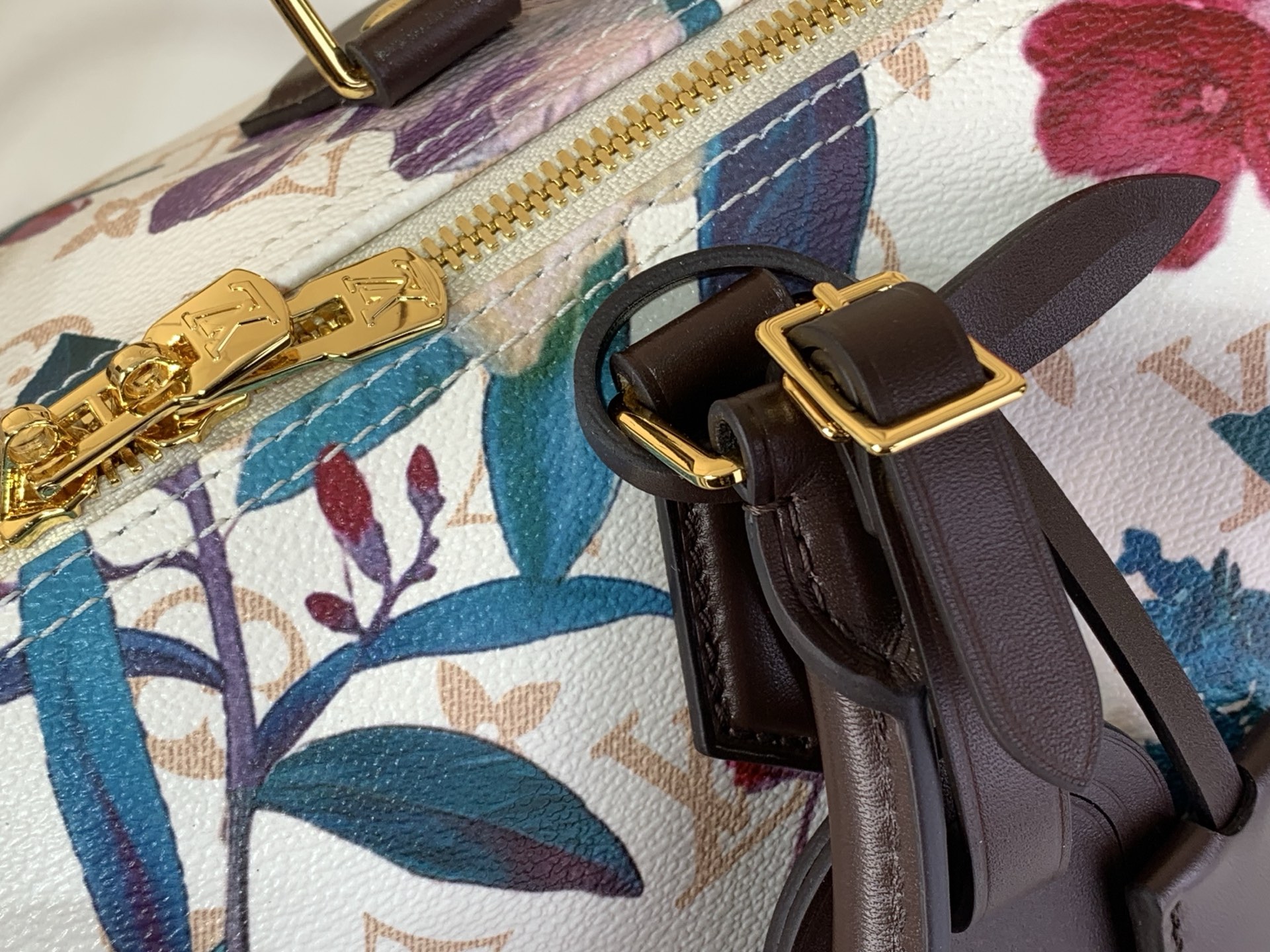 Louis Vuitton Speedy Soft 30 Other Monogram Canvas