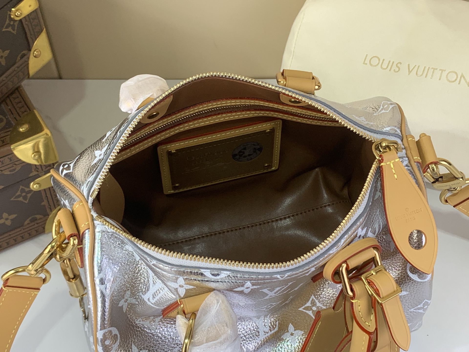 Louis Vuitton Speedy P9 Bandoulière 25 Silver