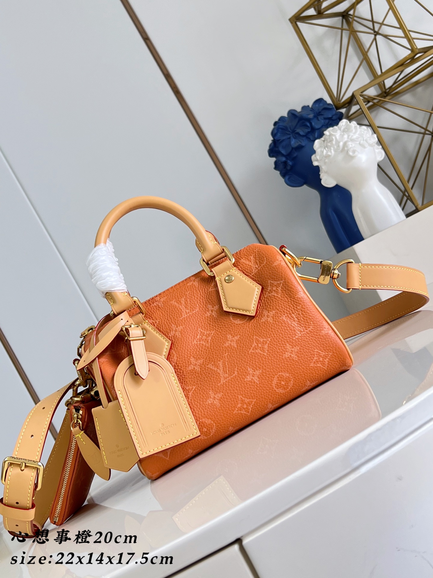  Louis Vuitton Speedy P9 Bandouliere 20 Leather Goods and Travel