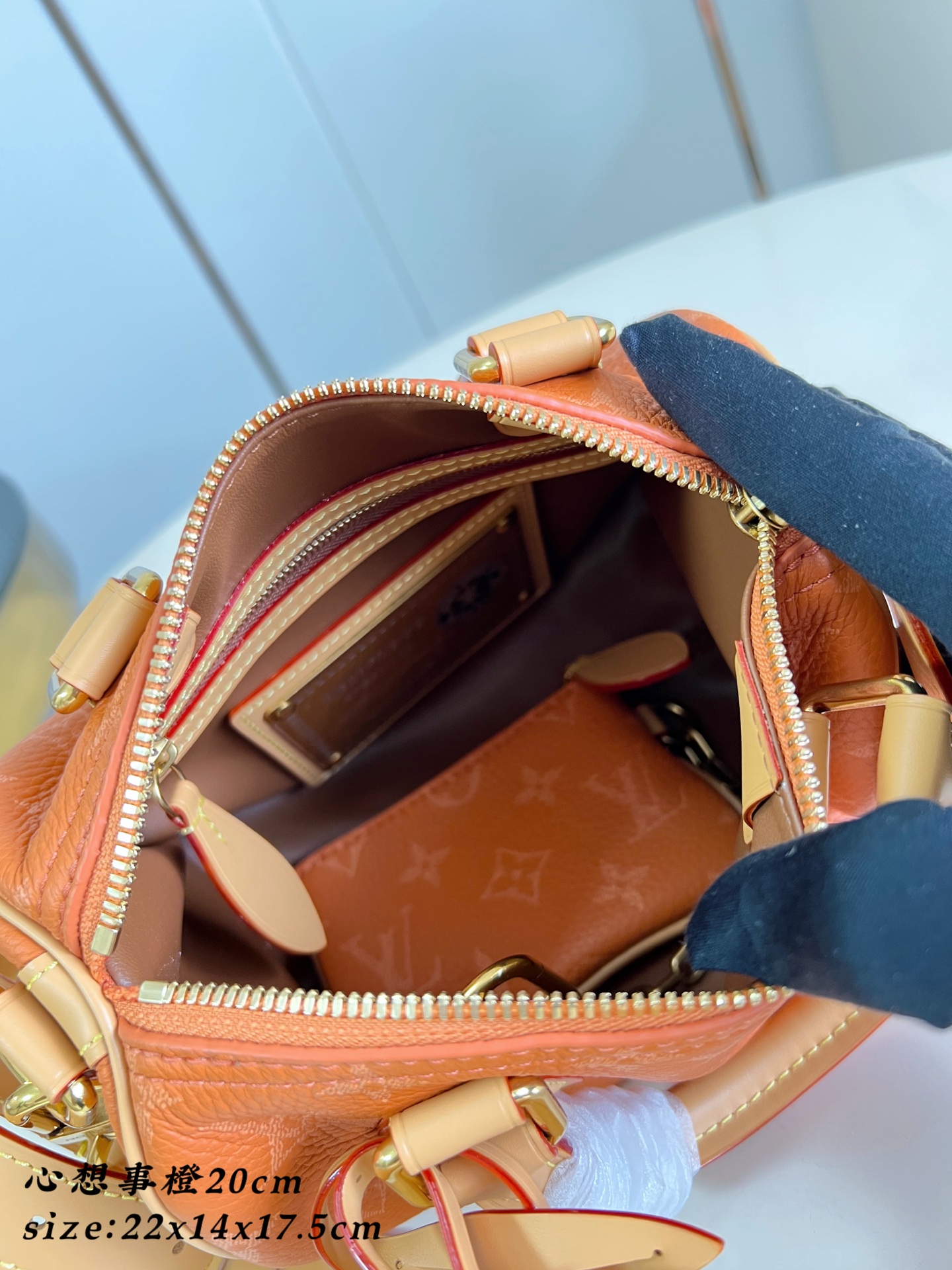  Louis Vuitton Speedy P9 Bandouliere 20 Leather Goods and Travel