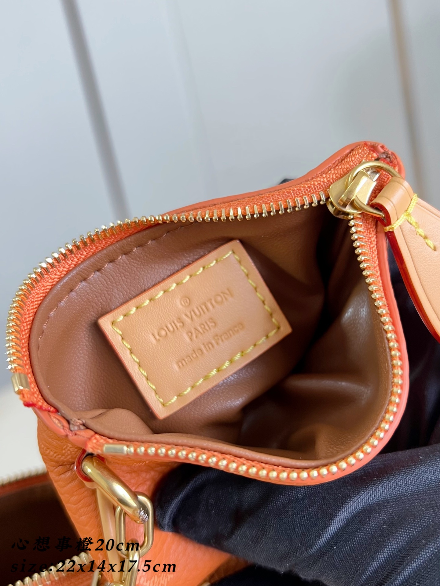  Louis Vuitton Speedy P9 Bandouliere 20 Leather Goods and Travel
