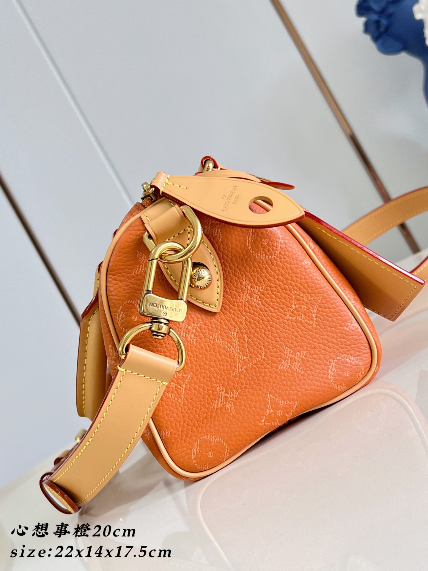 Louis Vuitton Speedy P9 Bandouliere 20 Leather Goods and Travel