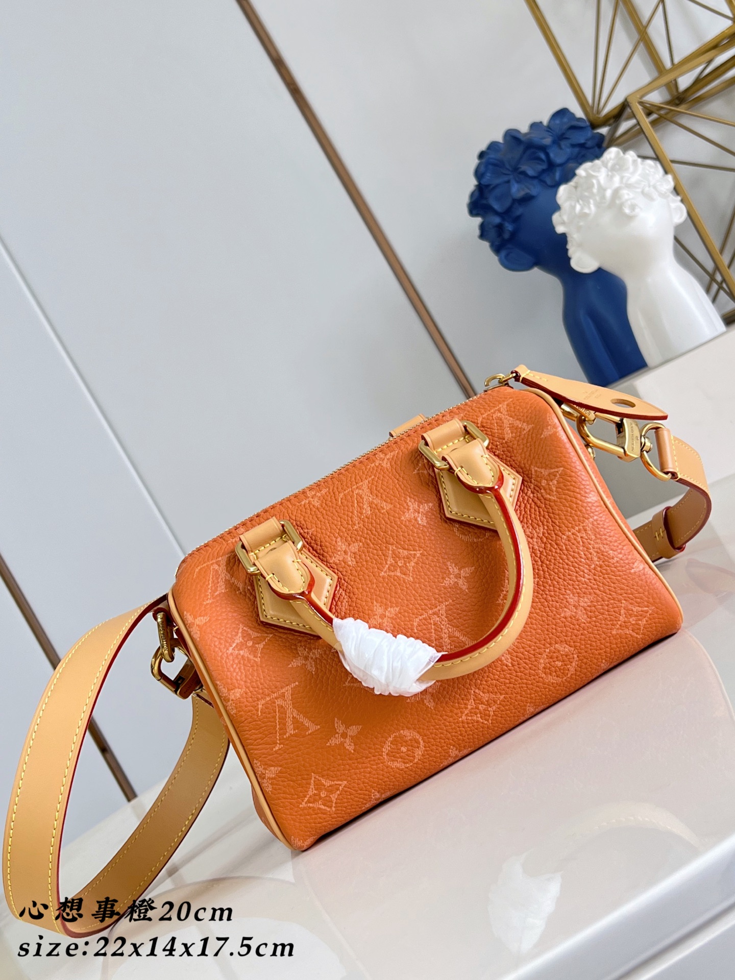  Louis Vuitton Speedy P9 Bandouliere 20 Leather Goods and Travel