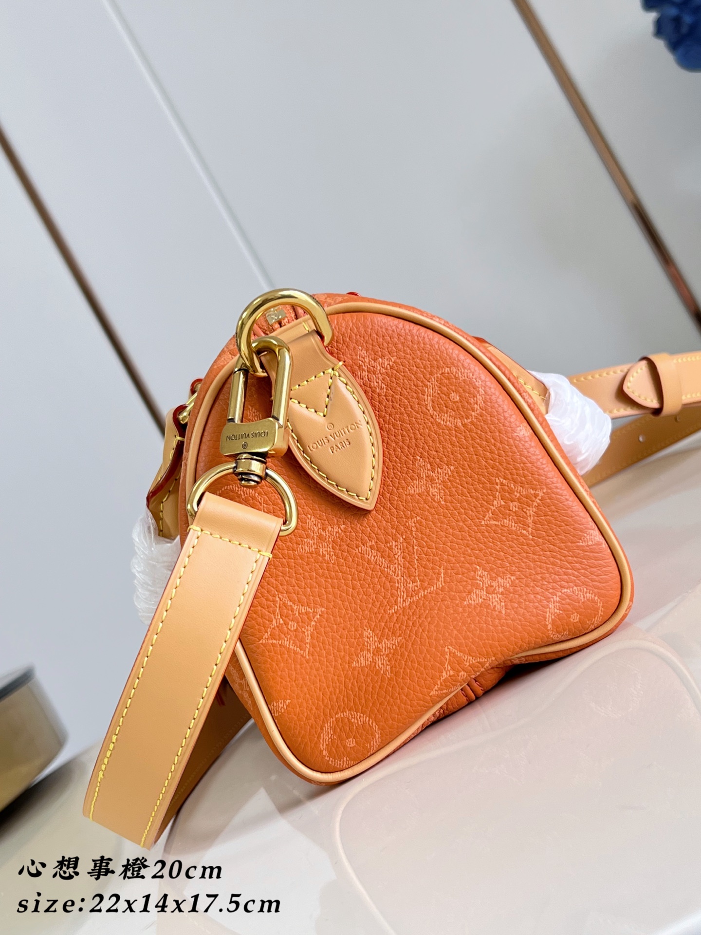  Louis Vuitton Speedy P9 Bandouliere 20 Leather Goods and Travel