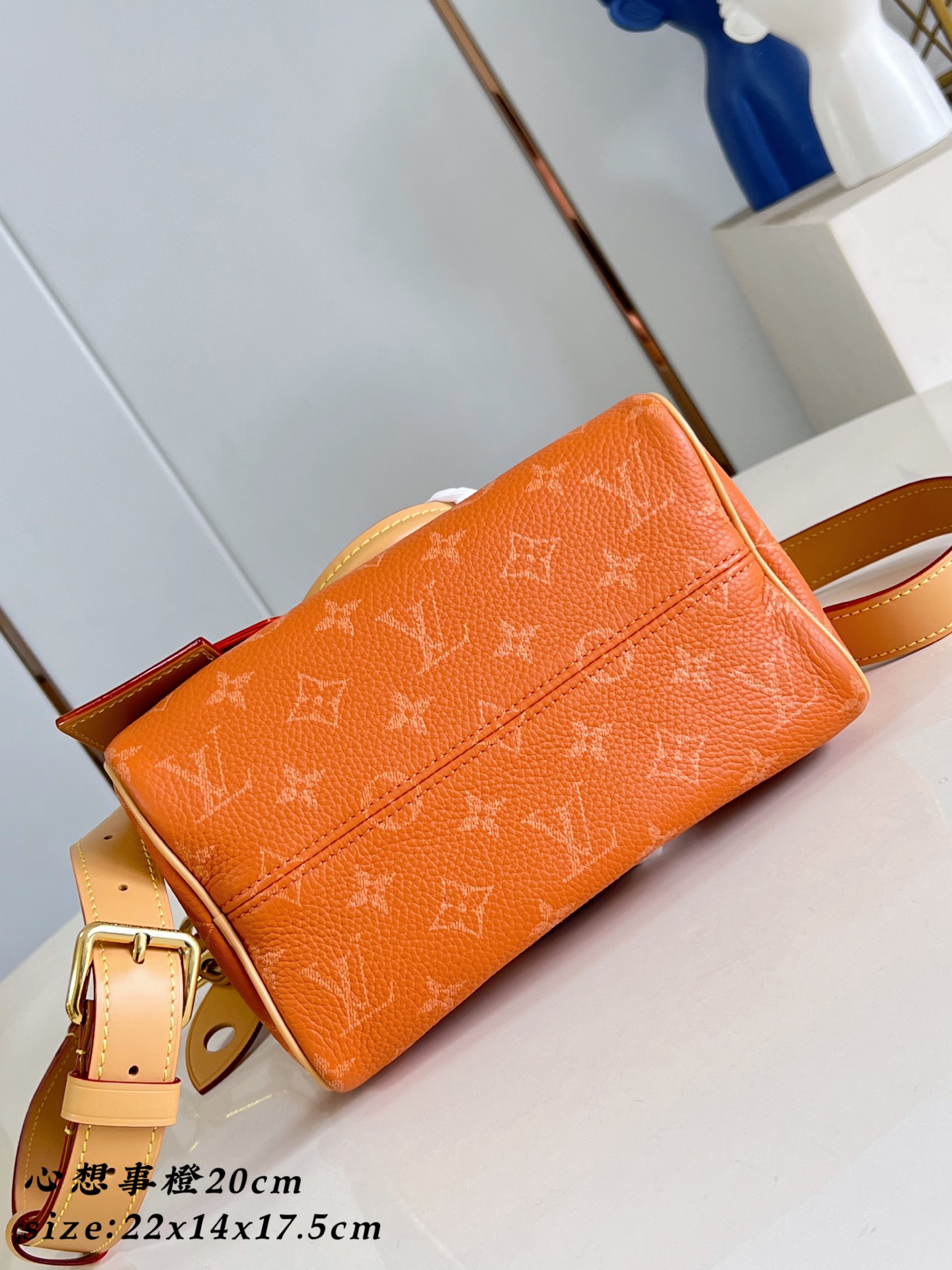  Louis Vuitton Speedy P9 Bandouliere 20 Leather Goods and Travel