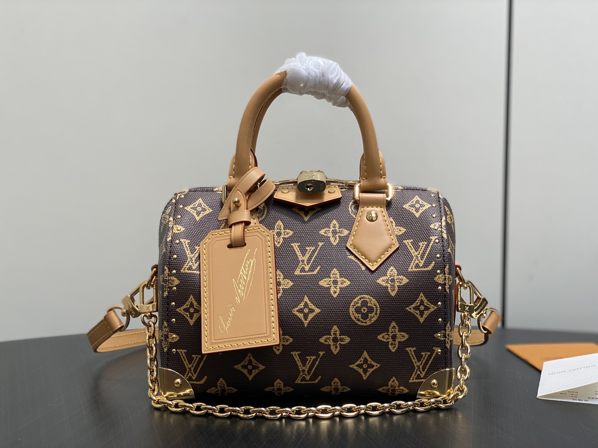 Louis Vuitton Speedy Trunk 20 Other Monogram Canvas