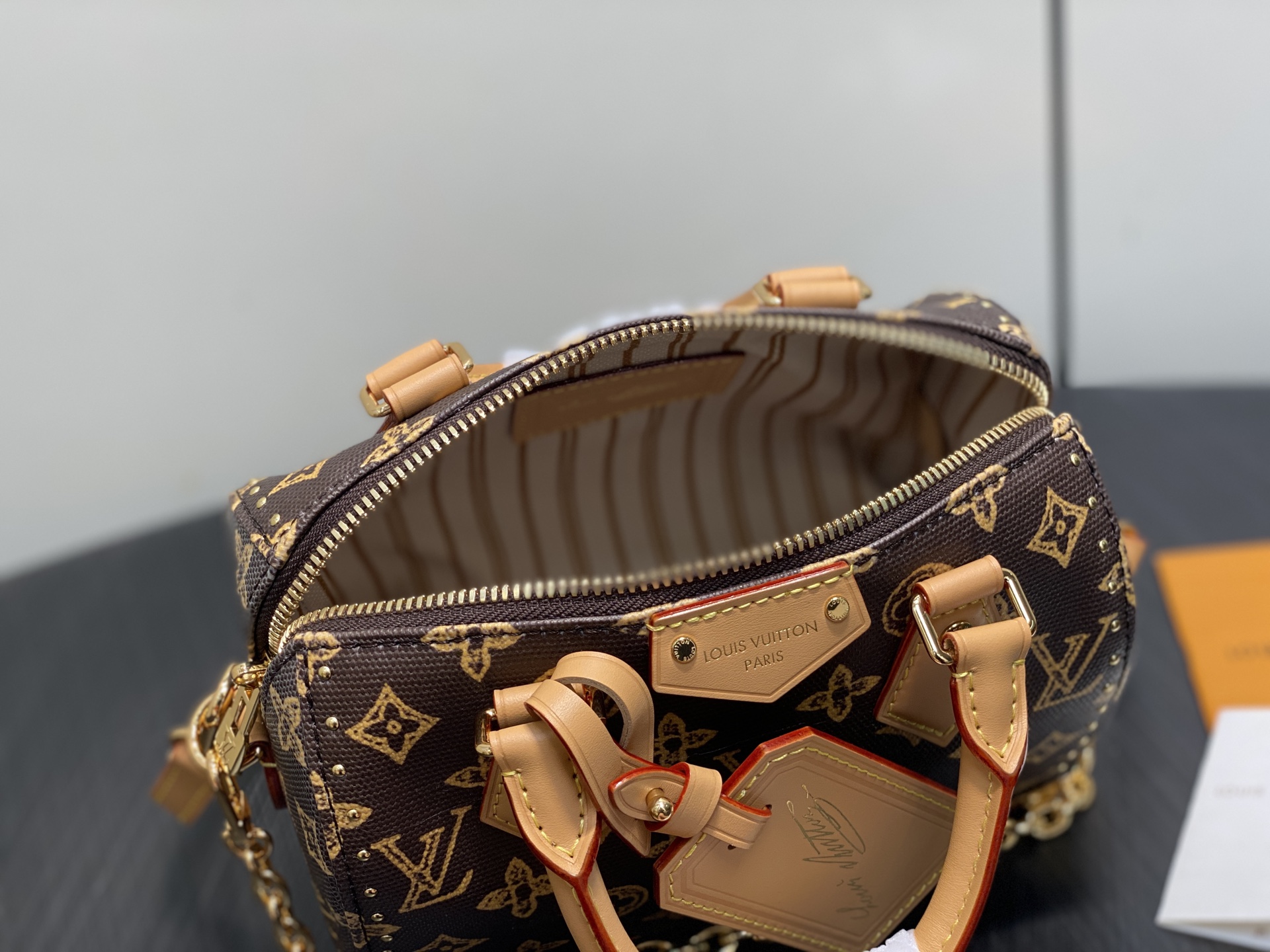 Louis Vuitton Speedy Trunk 20 Other Monogram Canvas