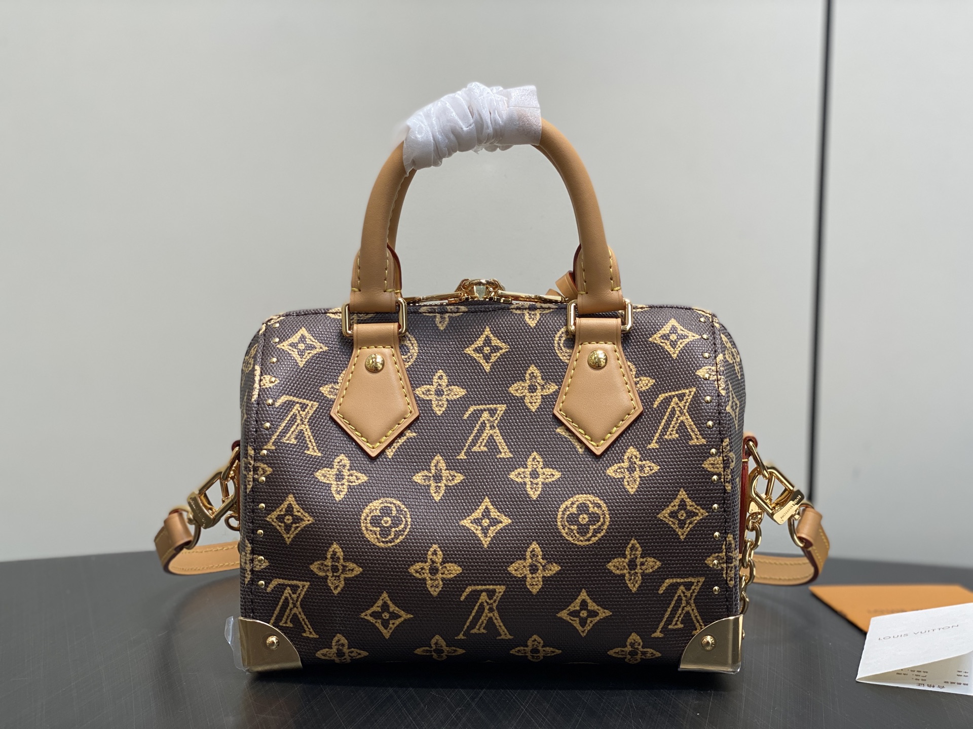 Louis Vuitton Speedy Trunk 20 Other Monogram Canvas