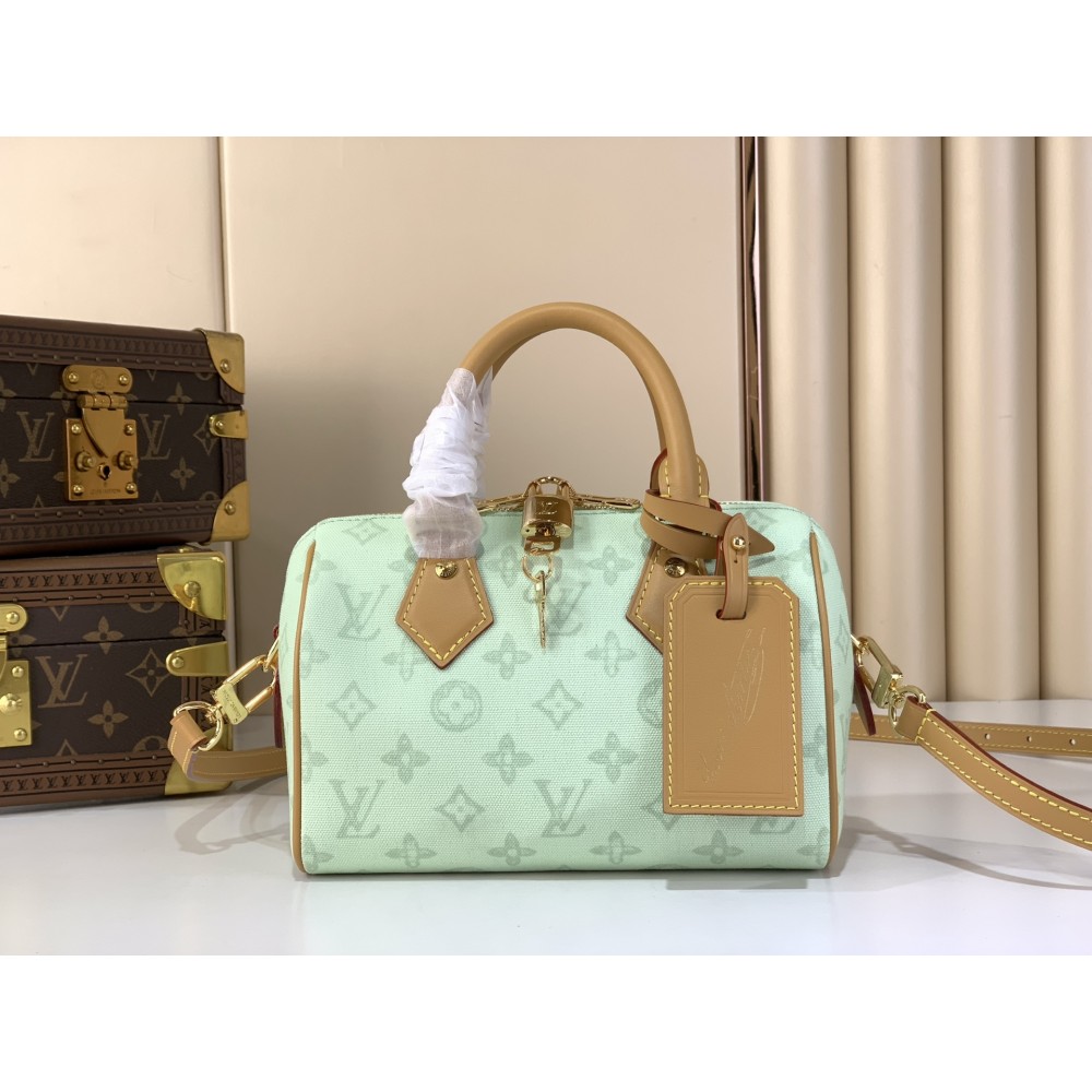 Louis Vuitton Sac Speedy Bandoulière 20 Bag