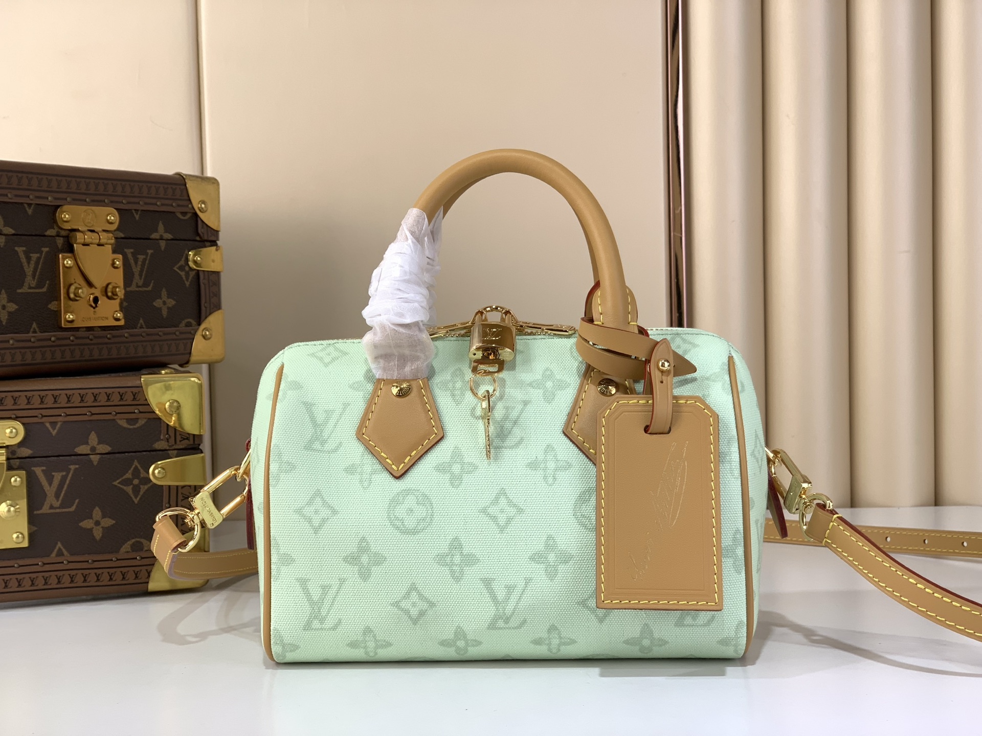 Louis Vuitton Sac Speedy Bandoulière 20 Bag