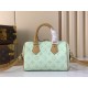 Louis Vuitton Sac Speedy Bandoulière 20 Bag