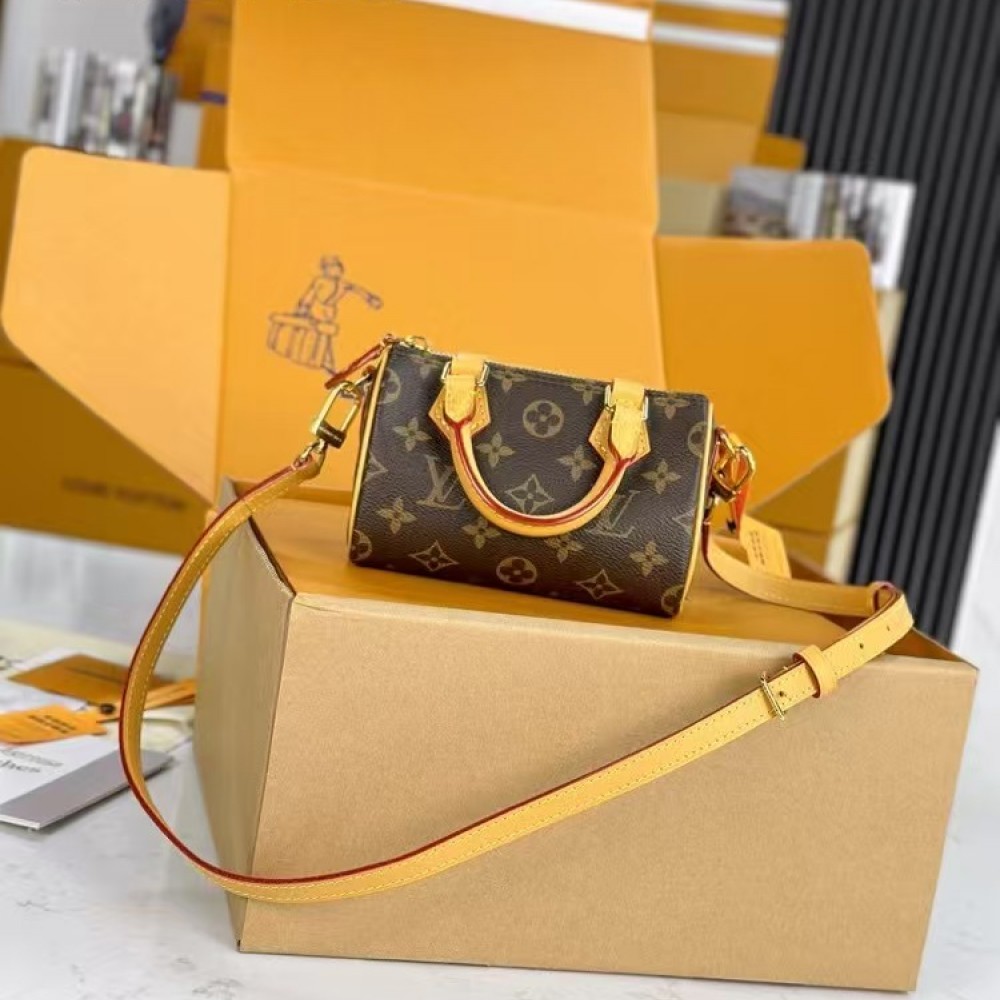 Louis Vuitton Nano Speedy Monogram 20