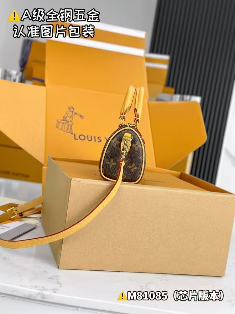 Louis Vuitton Nano Speedy Monogram 20
