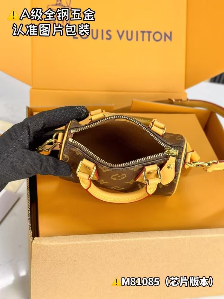 Louis Vuitton Nano Speedy Monogram 20