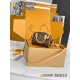 Louis Vuitton Nano Speedy Monogram 20