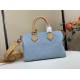 Louis Vuitton Speedy P9 Bandouliere 25 Leather Goods