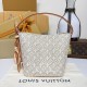 Louis Vuitton All In BB Other Monogram Canvas