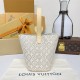 Louis Vuitton All In BB Other Monogram Canvas