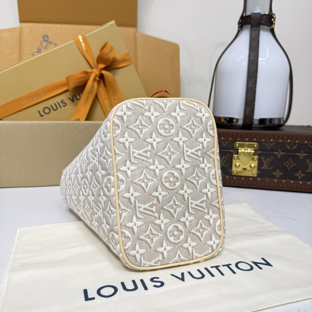 Louis Vuitton All In BB Other Monogram Canvas