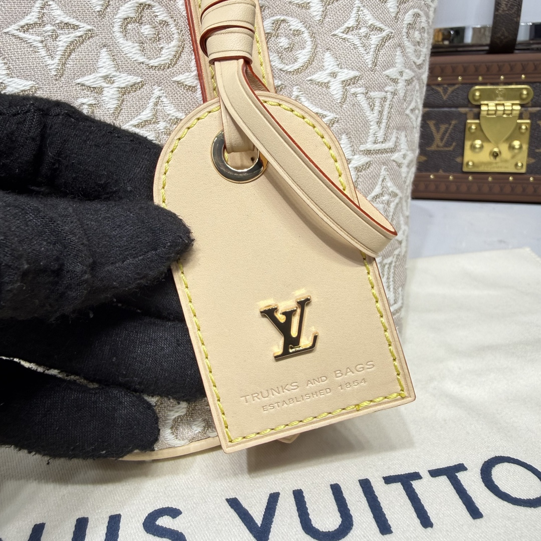 Louis Vuitton All In BB Other Monogram Canvas