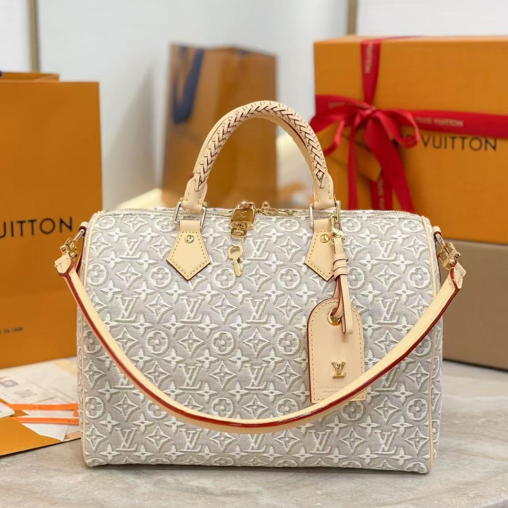 Louis Vuitton Speedy Soft 30 Other Monogram Canvas