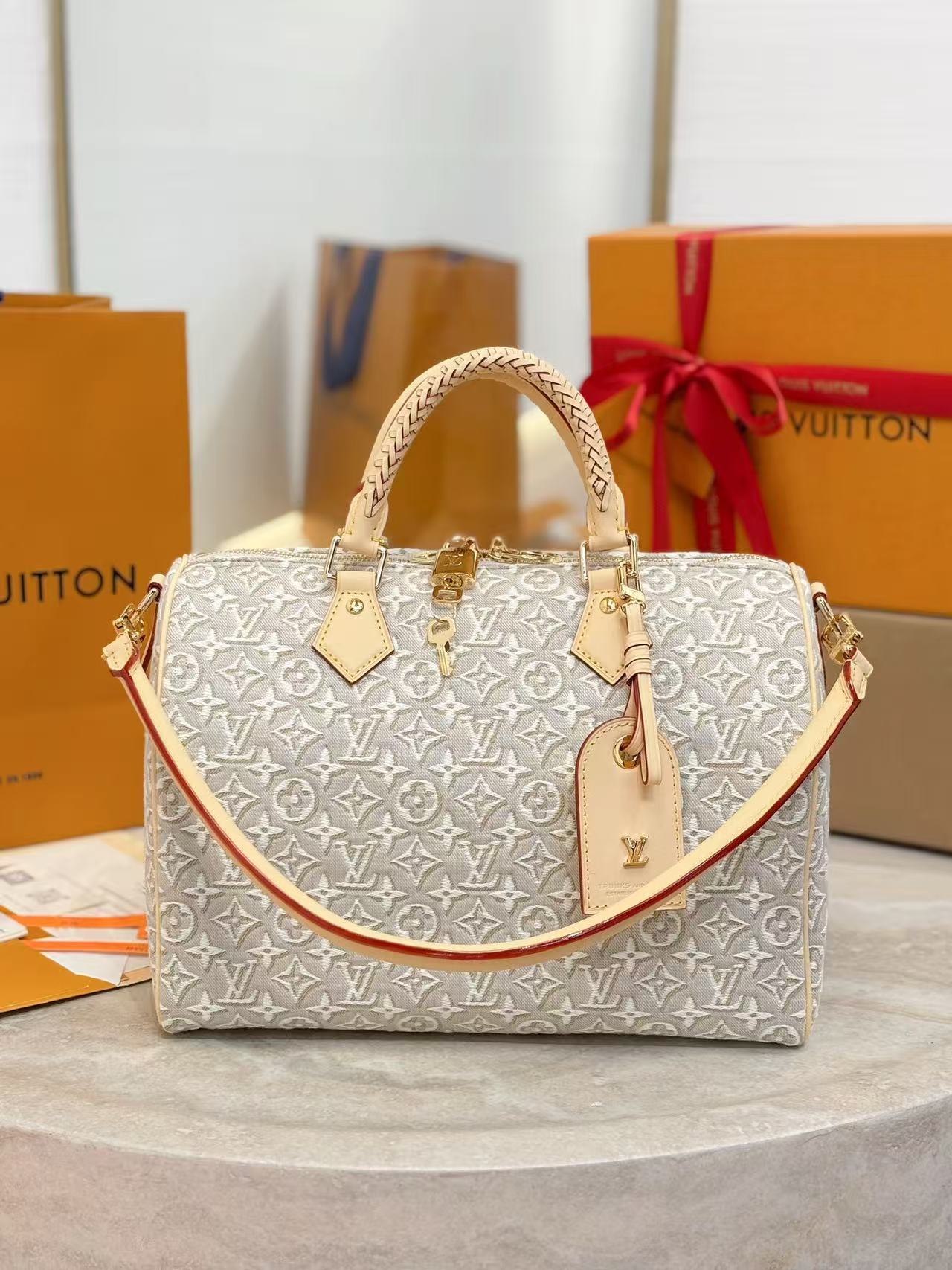 Louis Vuitton Speedy Soft 30 Other Monogram Canvas