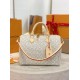 Louis Vuitton Speedy Soft 30 Other Monogram Canvas