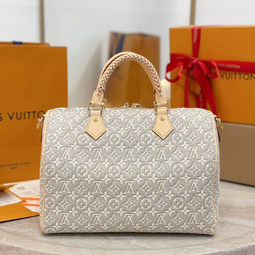 Louis Vuitton Speedy Soft 30 Other Monogram Canvas