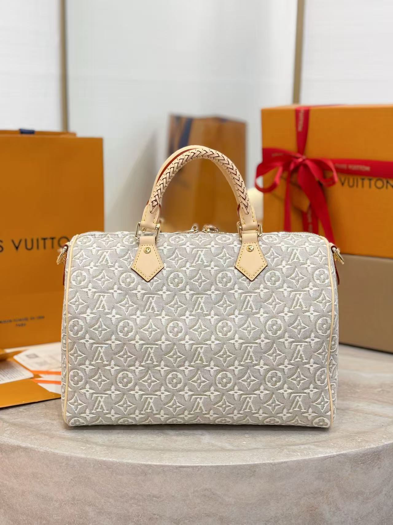 Louis Vuitton Speedy Soft 30 Other Monogram Canvas