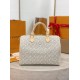 Louis Vuitton Speedy Soft 30 Other Monogram Canvas