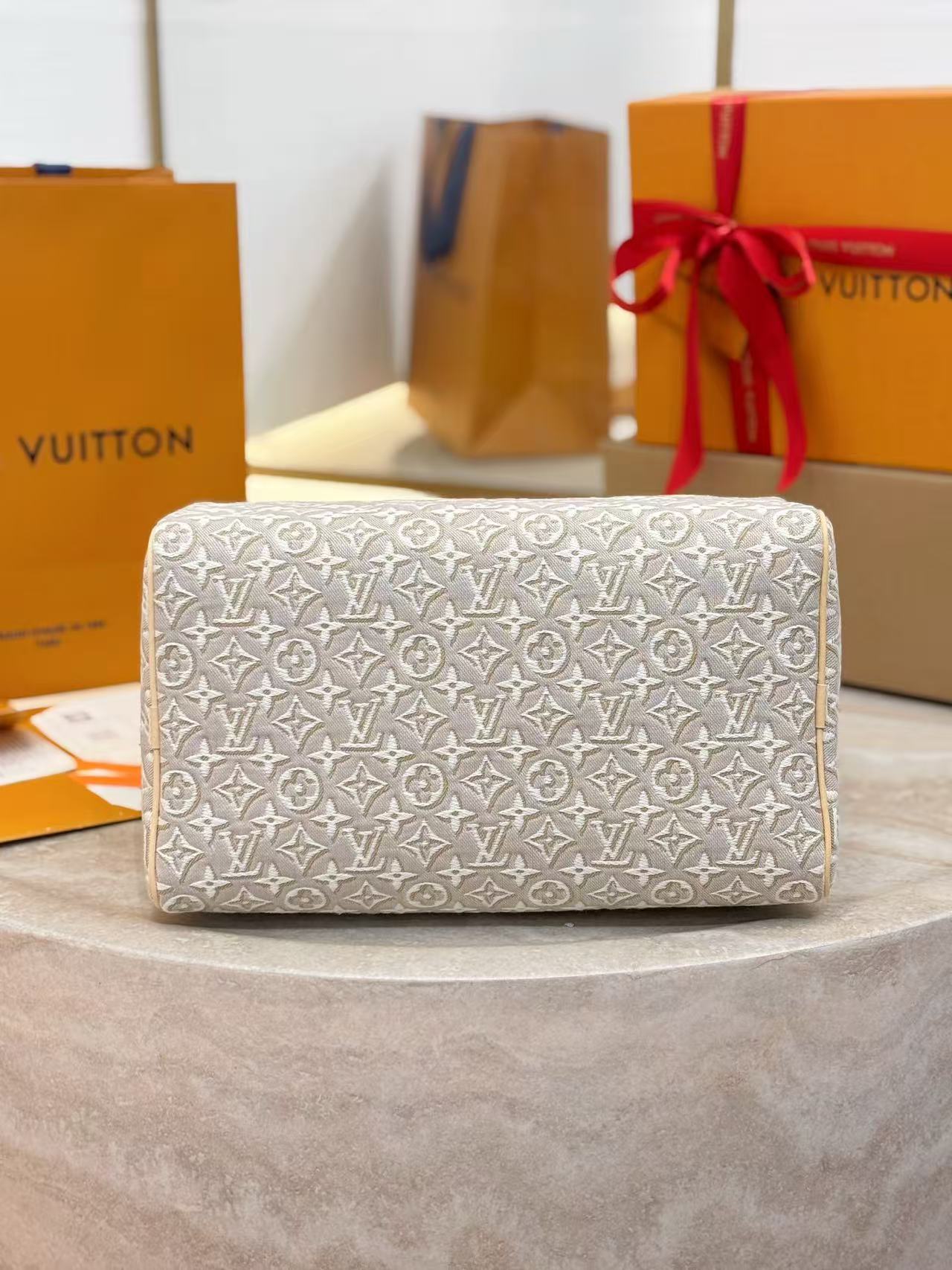 Louis Vuitton Speedy Soft 30 Other Monogram Canvas