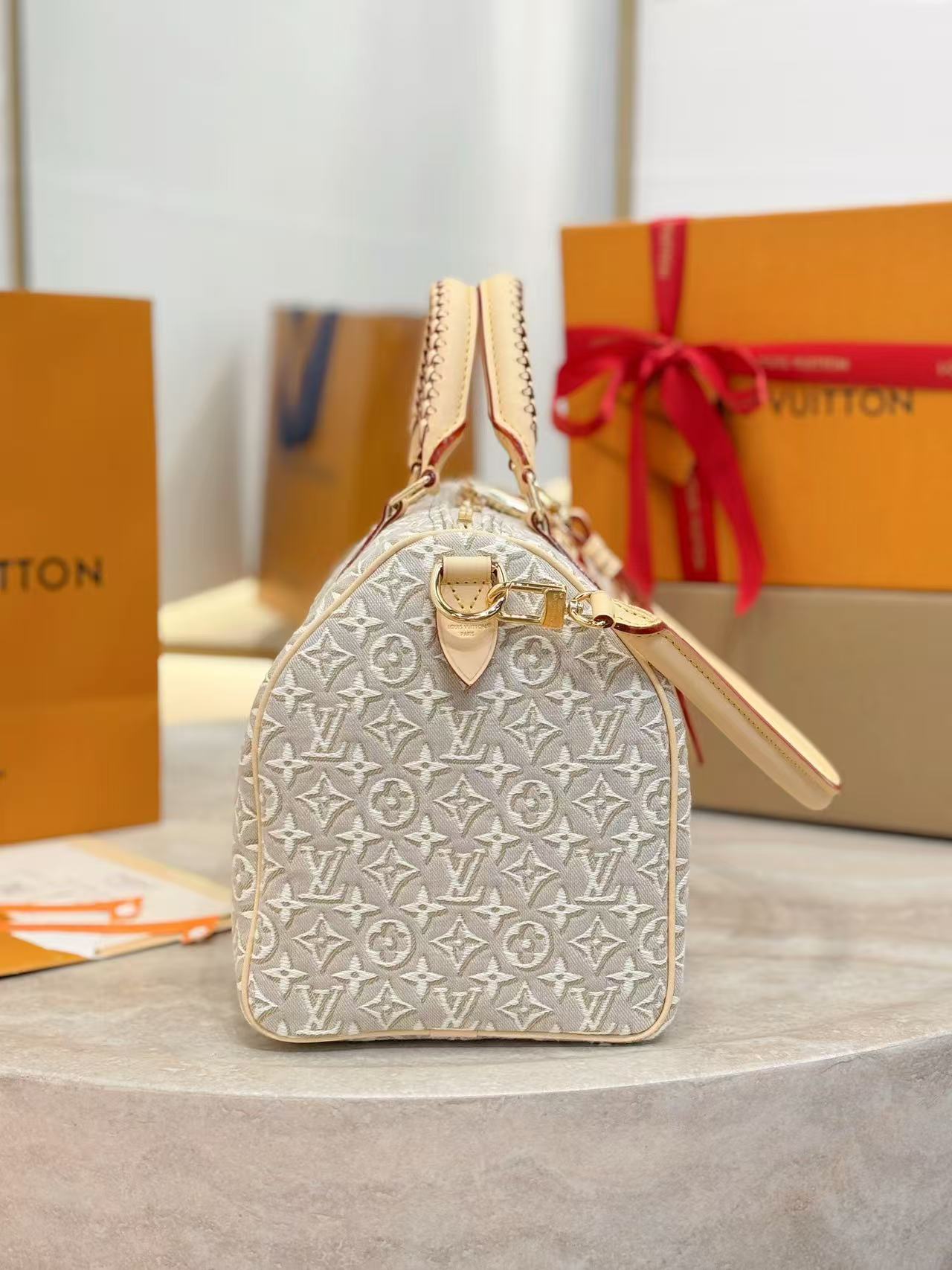 Louis Vuitton Speedy Soft 30 Other Monogram Canvas