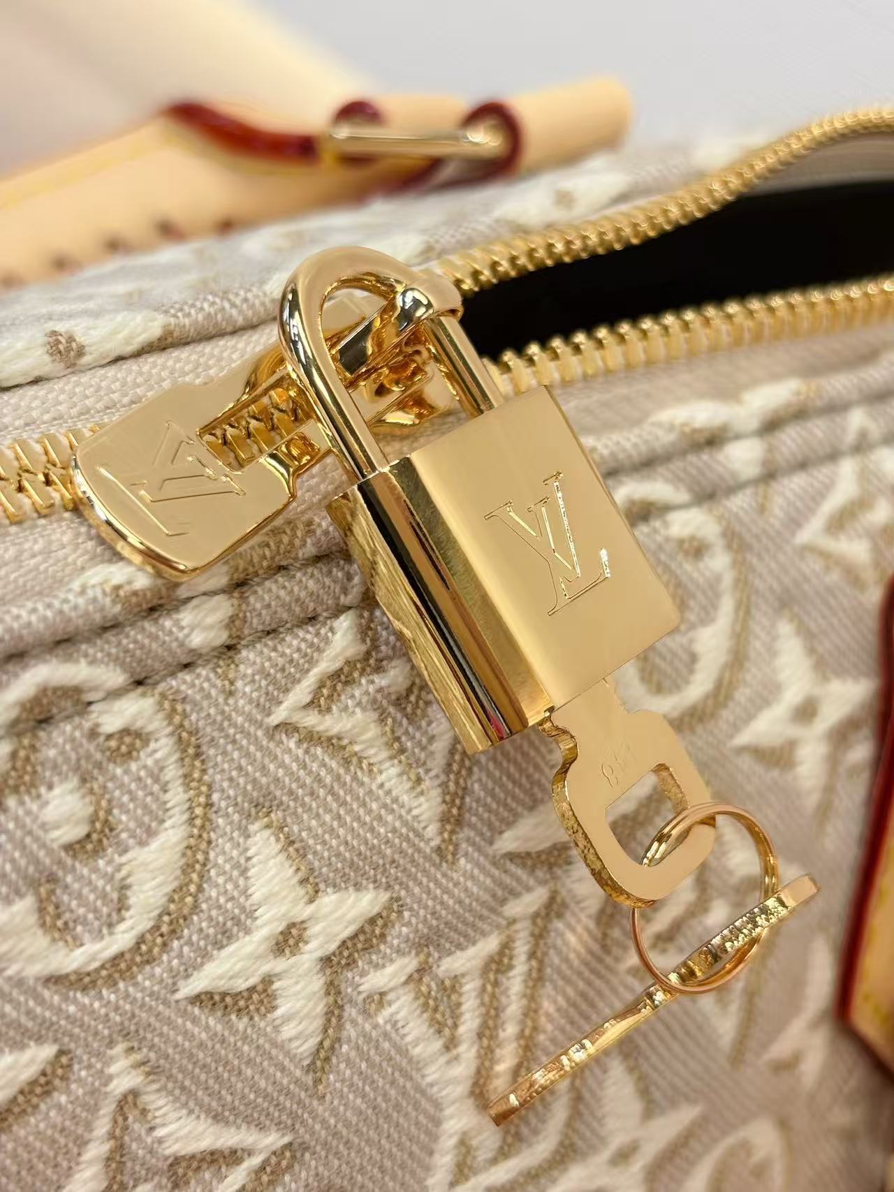 Louis Vuitton Speedy Soft 30 Other Monogram Canvas
