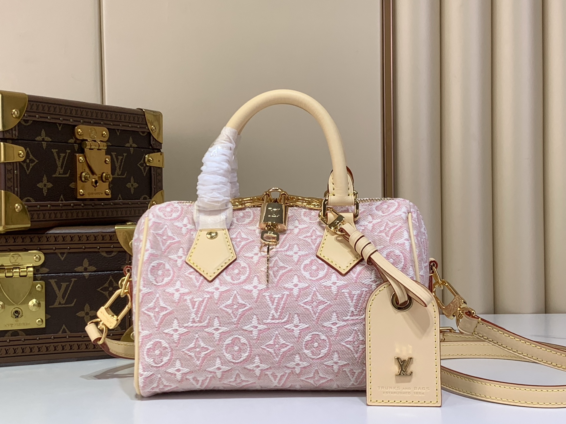 Louis Vuitton Speedy Bandouliere 20 Other Monogram Canvas