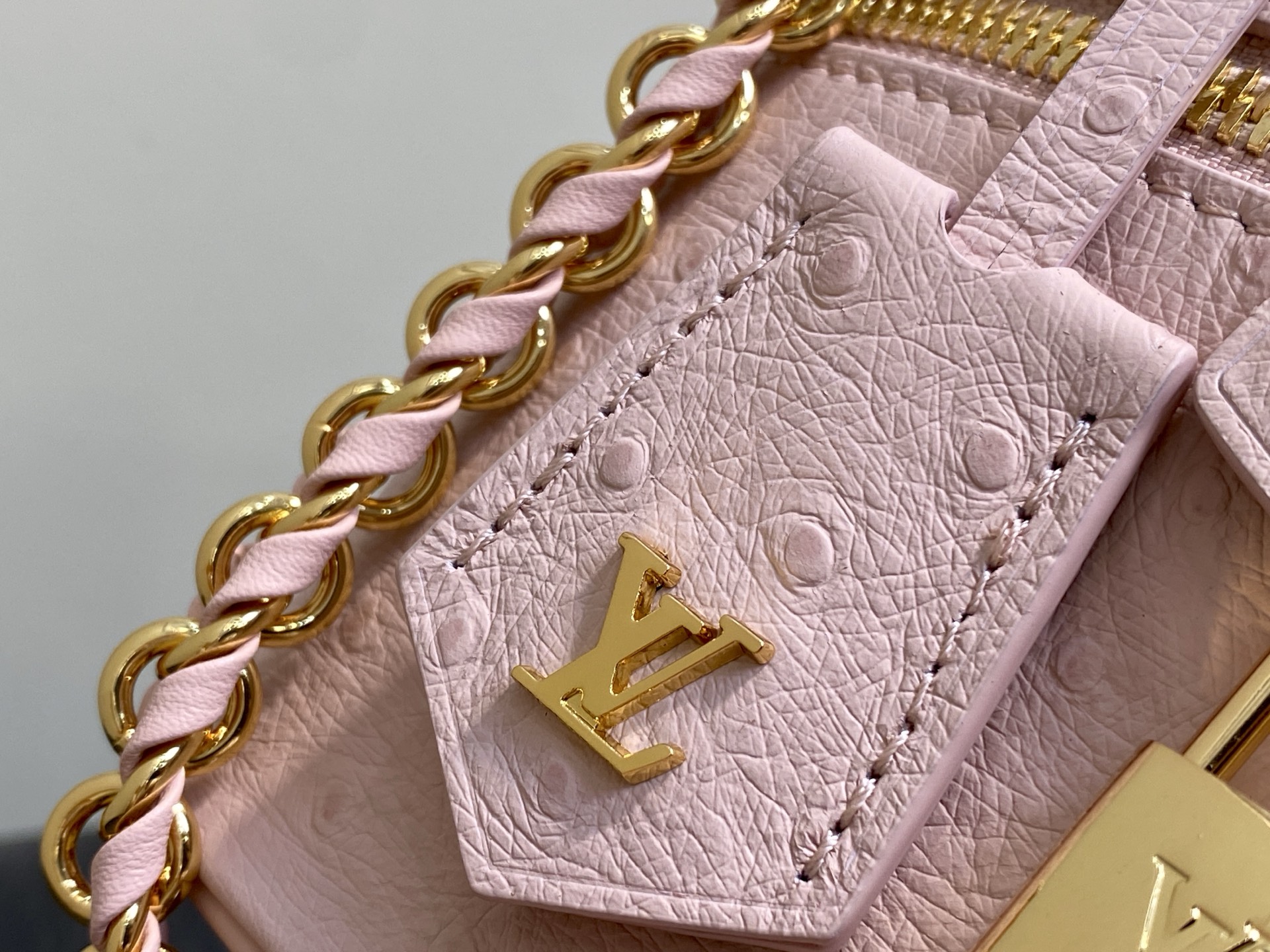 Louis Vuitton Vanity Chain Pouch - Wallets
