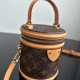 Louis Vuitton Brown Monogram Nano Cannes Bag