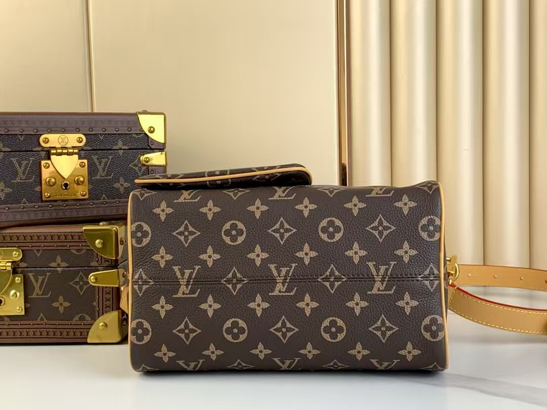 LOUIS VUITTON Speedy P9 Bandoulière 25 Autres Cuirs Monogram Brown LOUIS VUITTON Speedy P9 Bandoulière 25 Autres Cuirs Monogram Brown