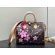 Louis Vuitton X Murakami Takashi Speedy Bandouliere 25 Sakura Brown