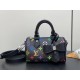 Louis Vuitton LV x TM Nano Speedy Louis Vuitton LV x TM Nano Speedy